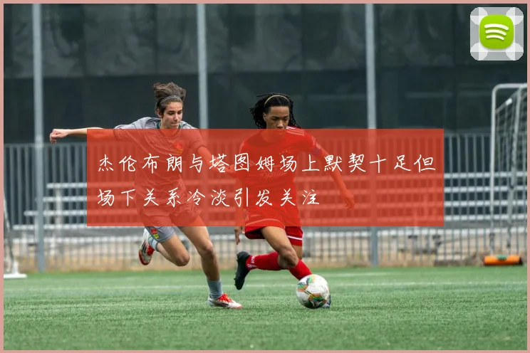 杰伦布朗与塔图姆场上默契十足但场下关系冷淡引发关注